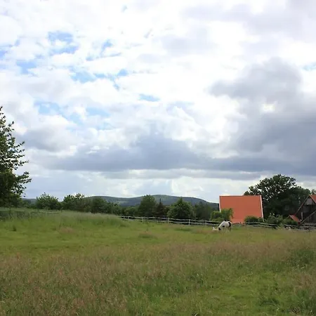 Wohlfuehlwohnung Im Gruenen Auf Pferdehof Detmold Exterior photo