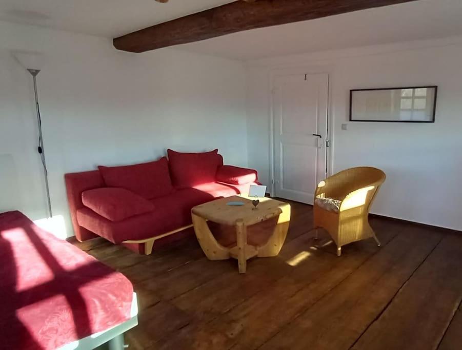 Wohlfuehlwohnung Im Gruenen Auf Pferdehof Detmold