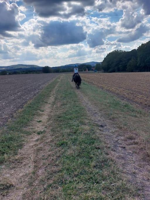 Wohlfuehlwohnung Im Gruenen Auf Pferdehof