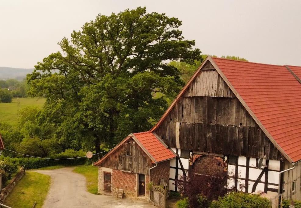 Wohlfuehlwohnung Im Gruenen Auf Pferdehof * Detmold