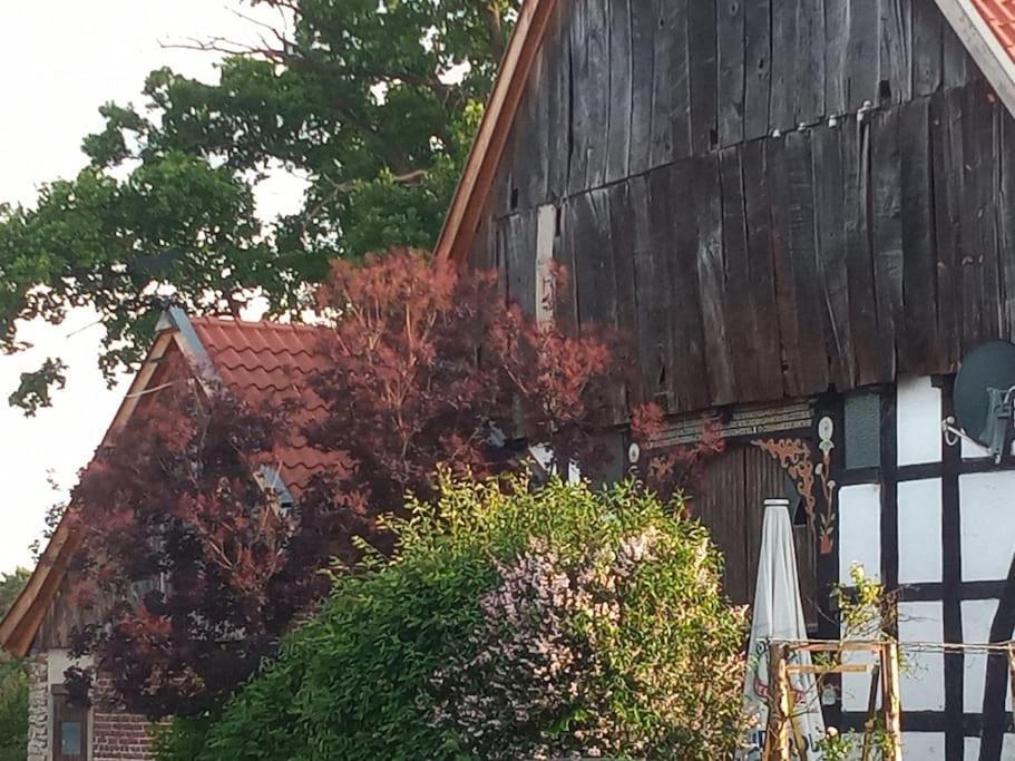 Wohlfuehlwohnung Im Gruenen Auf Pferdehof *