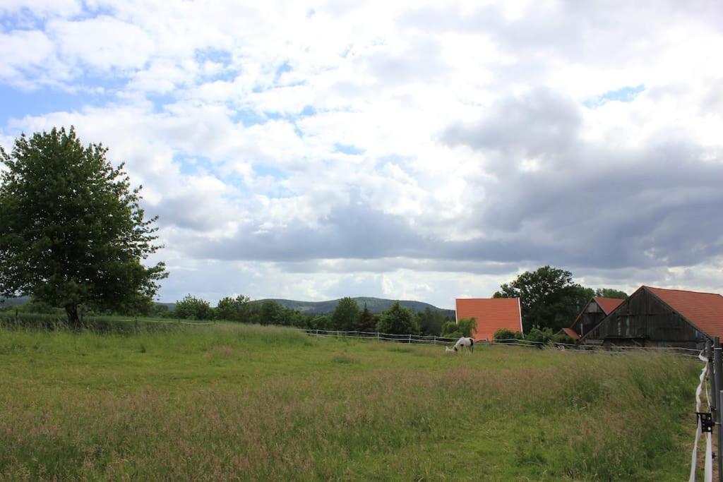 Apartment Wohlfuehlwohnung Im Gruenen Auf Pferdehof